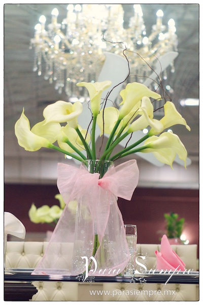 salon-kristal-xvmrn015