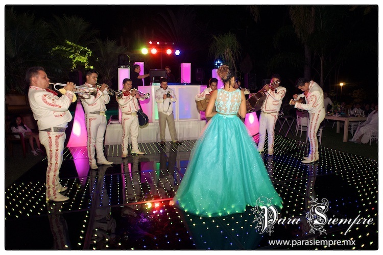 xv-xeviohna-casa-de-elefantes-cuernavaca-027